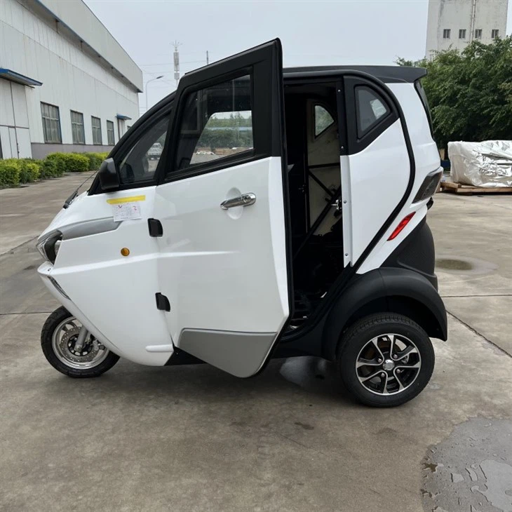 Runhorse -J1 Smart EV 3 Wheels Electric Car With EC EEC For Europe Market