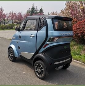 Electric Power Car Professional Vehicle With EEC Approval Passenger Electric Car For Adults