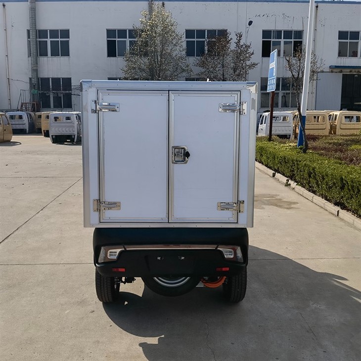 L5e China Pedal Cargo Tricycle New Energy Electric Delivery Vehicle With Van Box For Sale L5e China Pedal Cargo Tricycle New Energy Electric Delivery Vehicle With Van Box For Sale