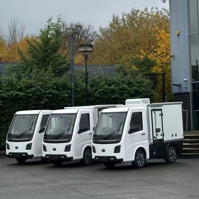 Čínske-300 km{2}}nové nákladné vozidlo Energy pickup s dlhým dosahom na dodávku na poslednú míľu